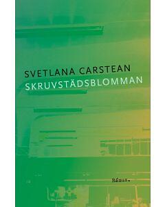 Bästa Skruvstäd → Bäst i test (Maj 2026)