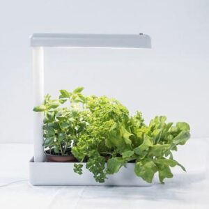 Bästa Växtbelysning → Bäst i test (April 2026)