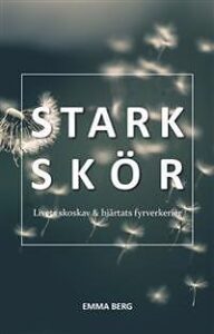 Bästa Fyrverkerier → Bäst i test (Maj 2026)