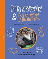Bästa Pinnsvets → Bäst i test (Maj 2026)