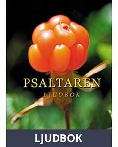 Bästa Svenska ljudböcker → Bäst i test (September 2026)