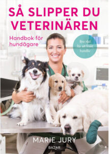 Bästa Soffan för hundägare → Bäst i test (September 2026)
